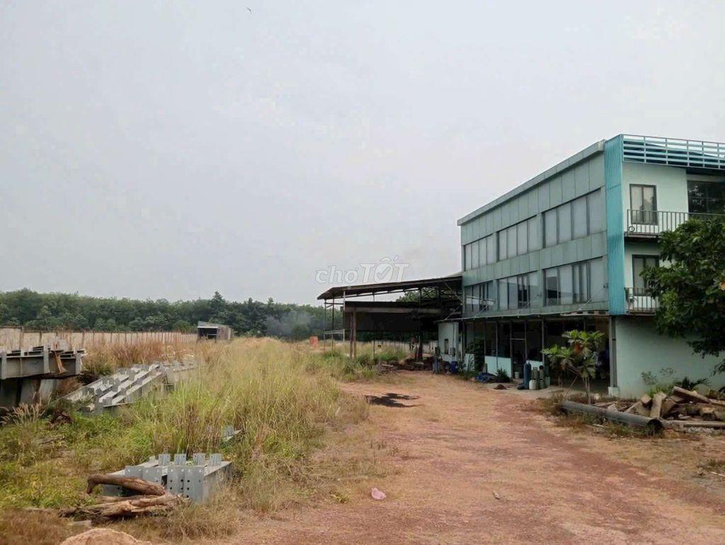 Bán Đất SKC XXKD đóng tiền 1 lần 50 năm 10.000m² Giá 26,2 tỷ 