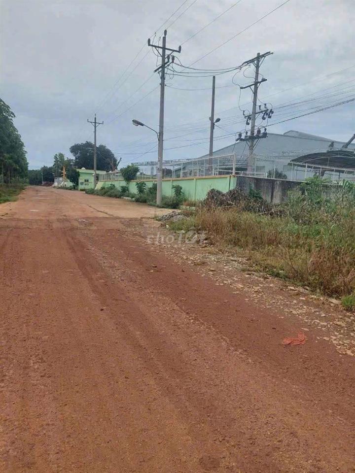 Bán Đất SKC SXKD đóng tiền 1 lần 30 năm 1 ha giá 22,2 tỷ 