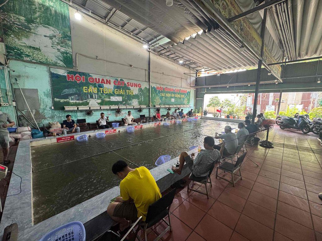Nhà có việc - cần sang hồ câu lượng khách đang ổn định