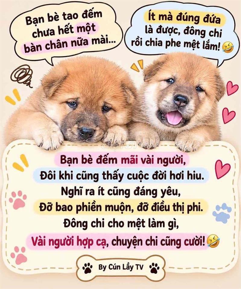 cho thuê kho gần trường cấp hai tân bình dĩ an