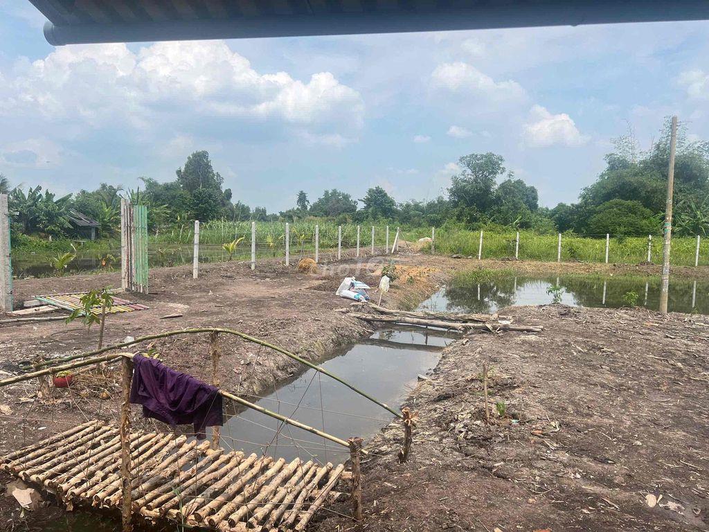 Bán đất trung an , ven sông sài gòn thổ cư 300m