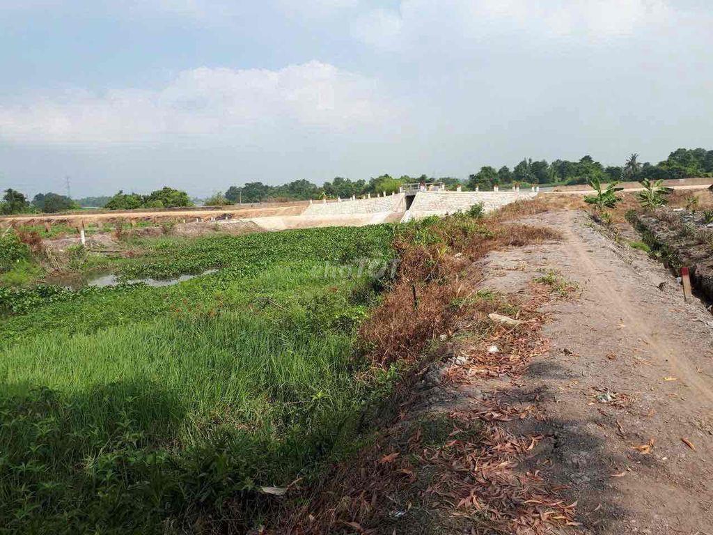 Bán đất trung an , ven sông sài gòn thổ cư 300m