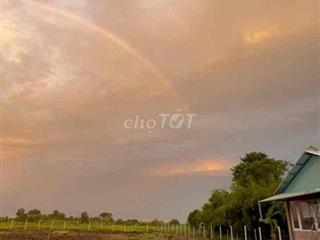 Bán đất trung an , ven sông sài gòn thổ cư 300m