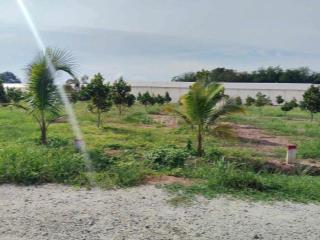 251m2 thổ cư bán ngộp 380tr sổ riêng trồng mít chuẩn bị lên nhựa