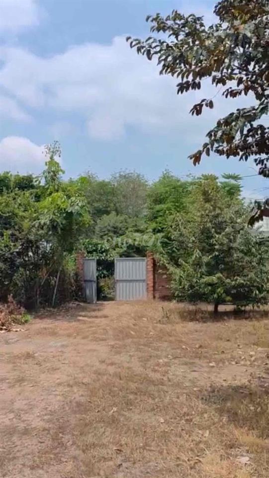 Đất Vườn 2500m2 có 50m Thổ Cư Ở Phú Giáo Bình Dương
