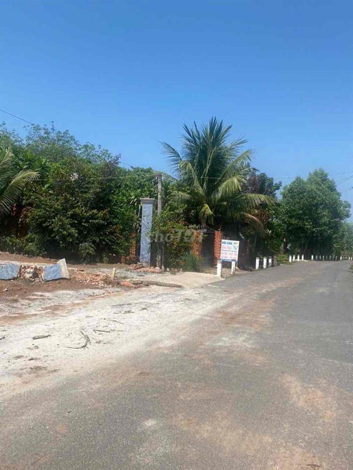Đất Vườn Có Thổ Cư 10x50m Mặt Tiền Đường Nhựa