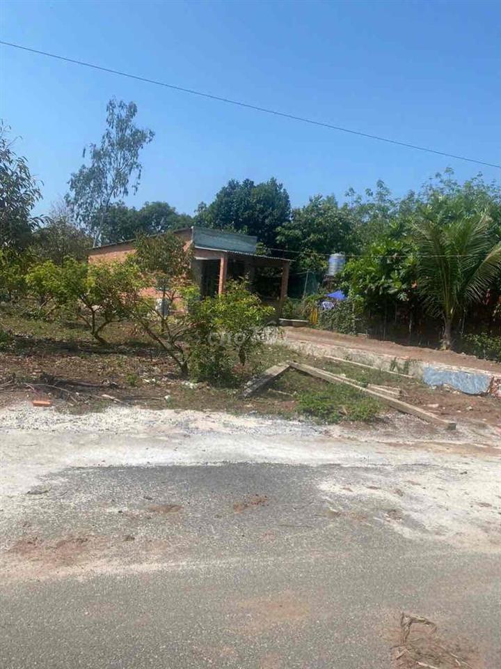 Đất Vườn Có Thổ Cư 10x50m Mặt Tiền Đường Nhựa