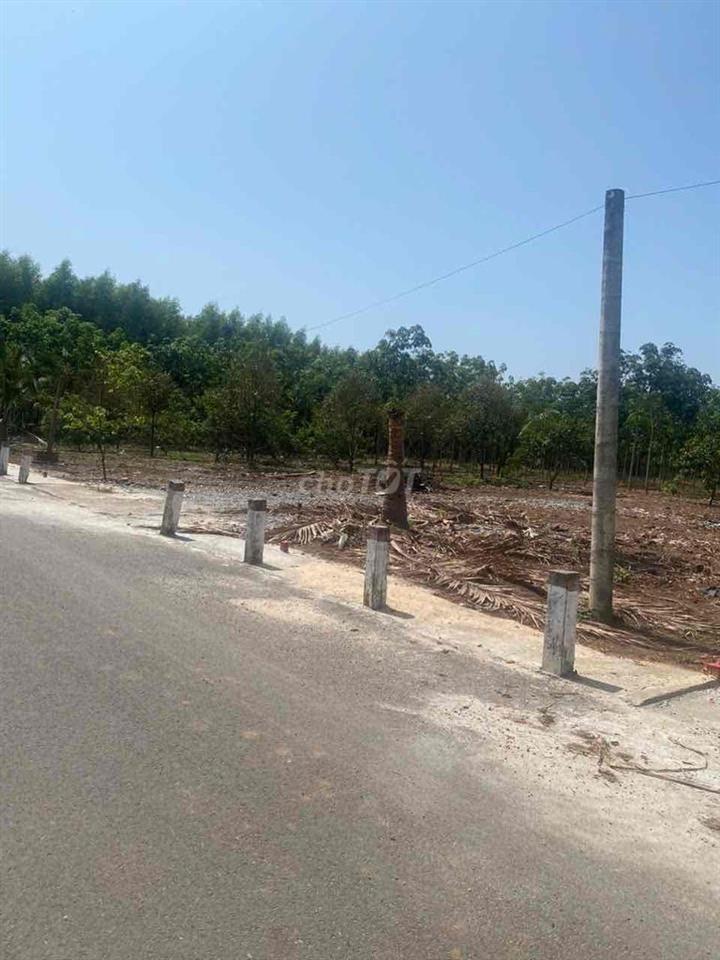 Đất Vườn Có Thổ Cư 10x50m Mặt Tiền Đường Nhựa
