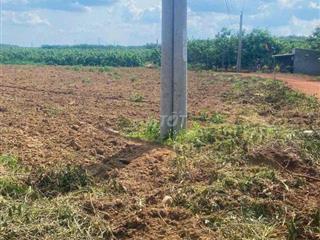 Đất vườn 2000m2 Đường 6m Thuộc Phước Thành Tp HCM