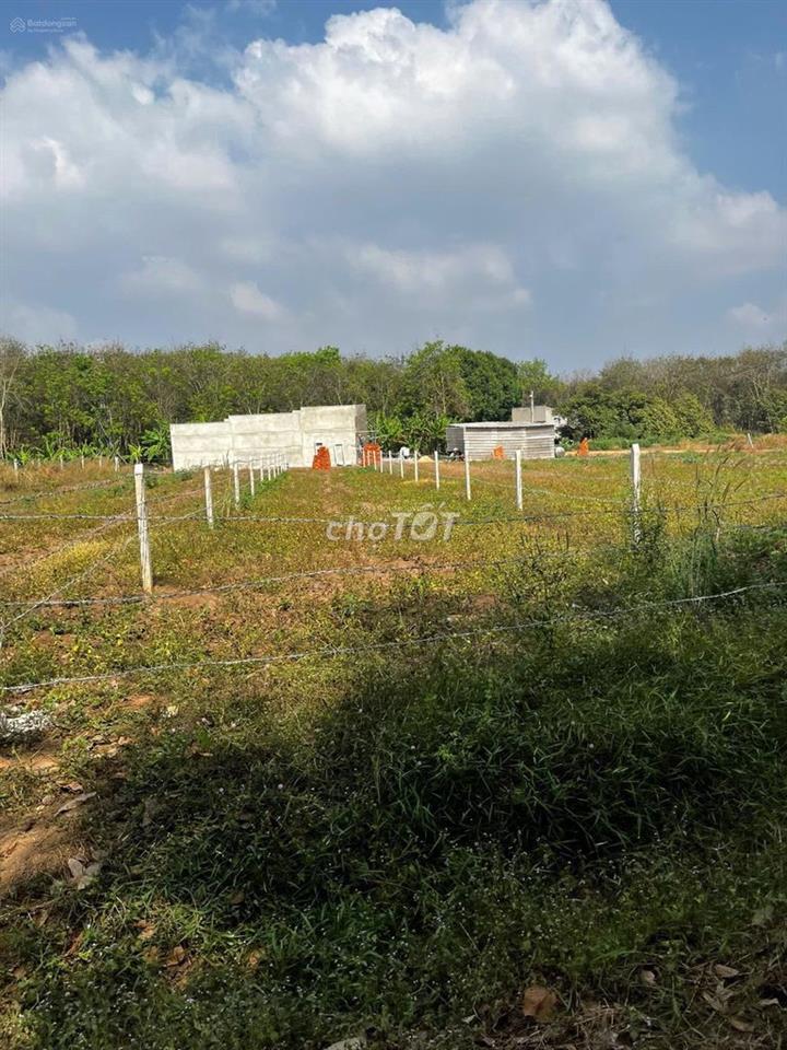 Ngộp 424m2 -100TC lô đất đường betong 7m sau chợ An Linh giá 620 triệu