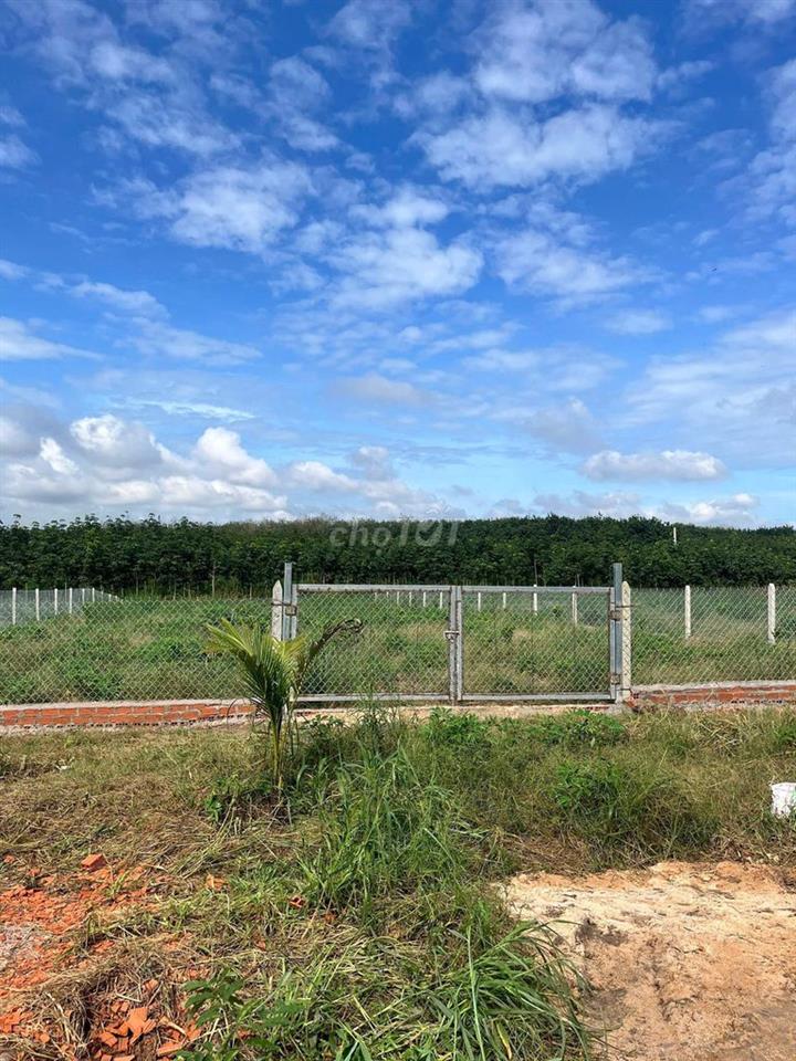 Ngộp mùa Banh bán nhanh sào ngang 18m rào kiên cố giá chỉ: 850tr ( TL)