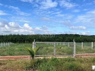 Ngộp mùa Banh bán nhanh sào ngang 18m rào kiên cố giá chỉ: 850tr ( TL)