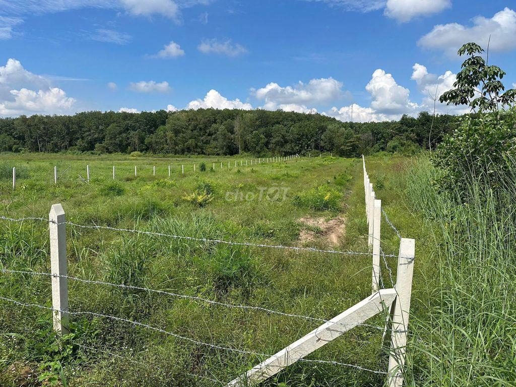Đất sào HCM - 1230m2, cách đường huyện lộ 32m vào chỉ 700m, ngang 12m