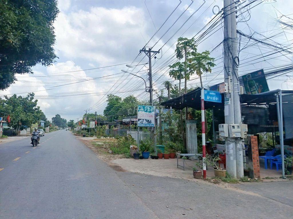 Em cần bán lô đất sào 1100m2 đang trồng mít tại xã An Thái sổ hồng sẵn