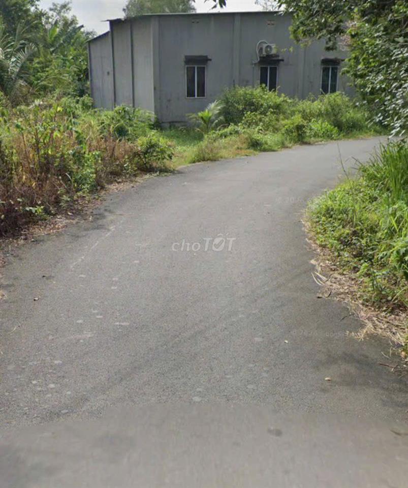 GIÁ 1.3 TỶ, ĐƯỜNG NHỰA 5M, 310 M2, THỔ CƯ,  KẾ DA 1.153 HA HỒ CẦN NÔM