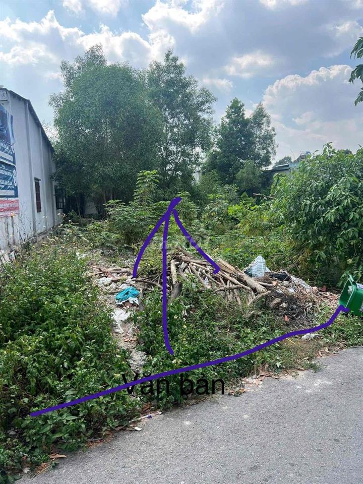 Đất Thổ cư gần chợ  gần siêu thị gần Trường học Mâm Non cấp 1,2,3  ! t