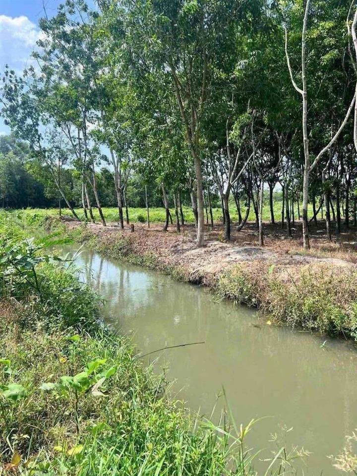 Bán Mãnh Sào 5.166m2 có sẵn thổ cư 100m