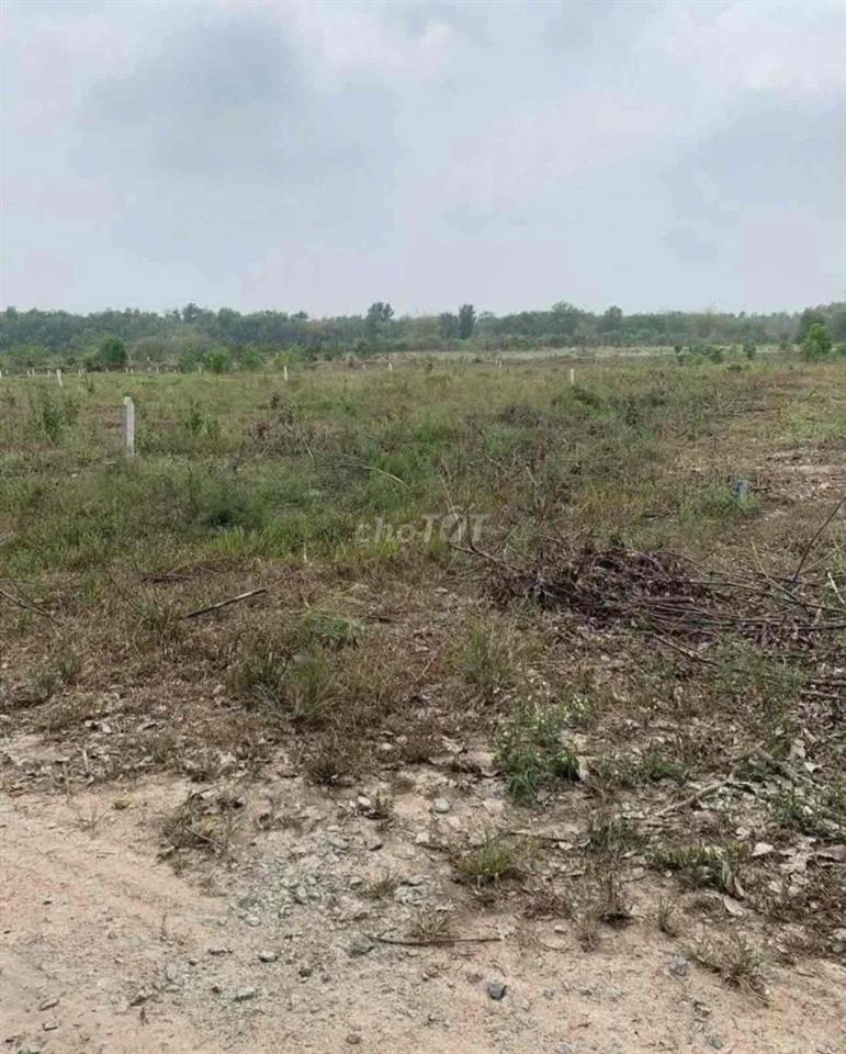 Bán Mãnh Sào 5.166m2 có sẵn thổ cư 100m