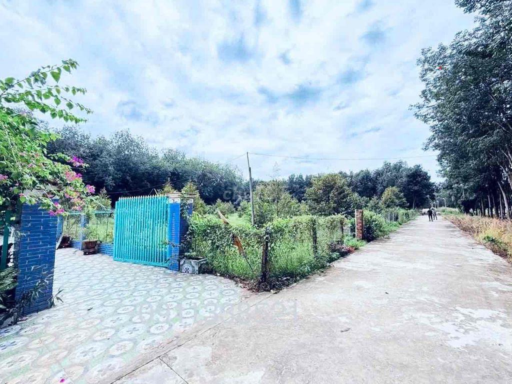Bán Gấp Nhà Vườn Nha Bích Gần KCM Becamex