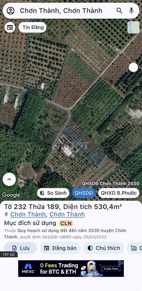 Bán Vườn Mít