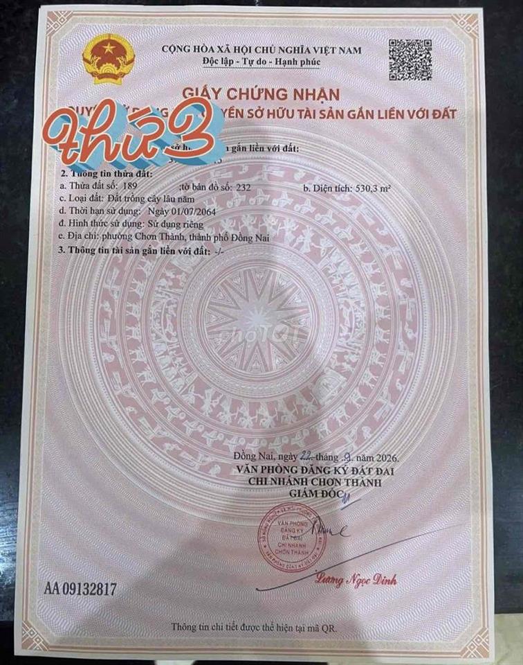 Bán Vườn Mít