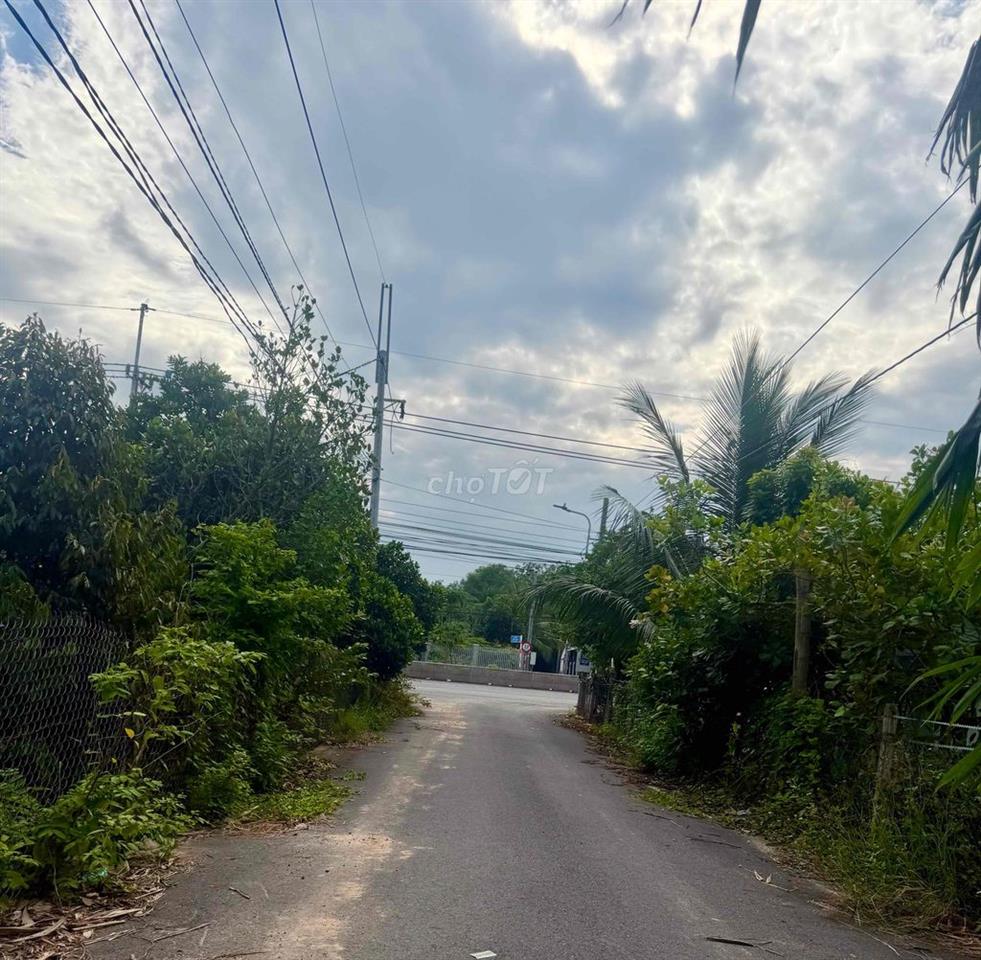 Bán đất Chánh Phú Hoà đường nhựa 5,5m cách đường DT741 tầm 70m dân đôn