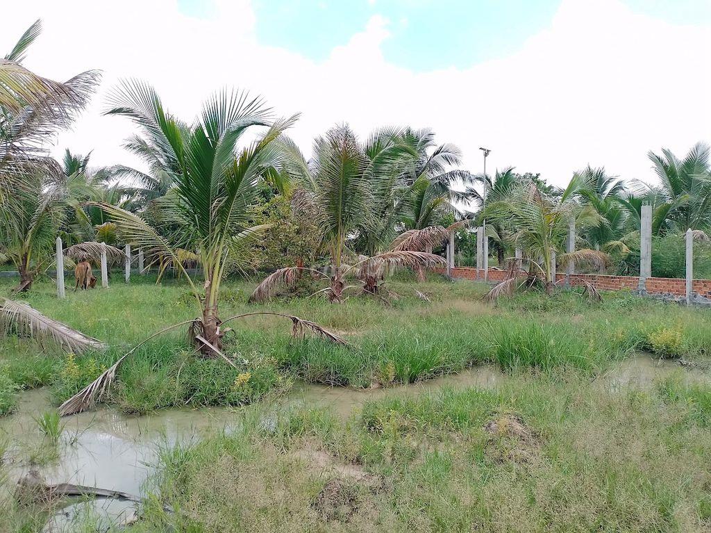 BÁN 500 M2 ĐẤT TRUNG LẬP HẠ CỦ CHI 