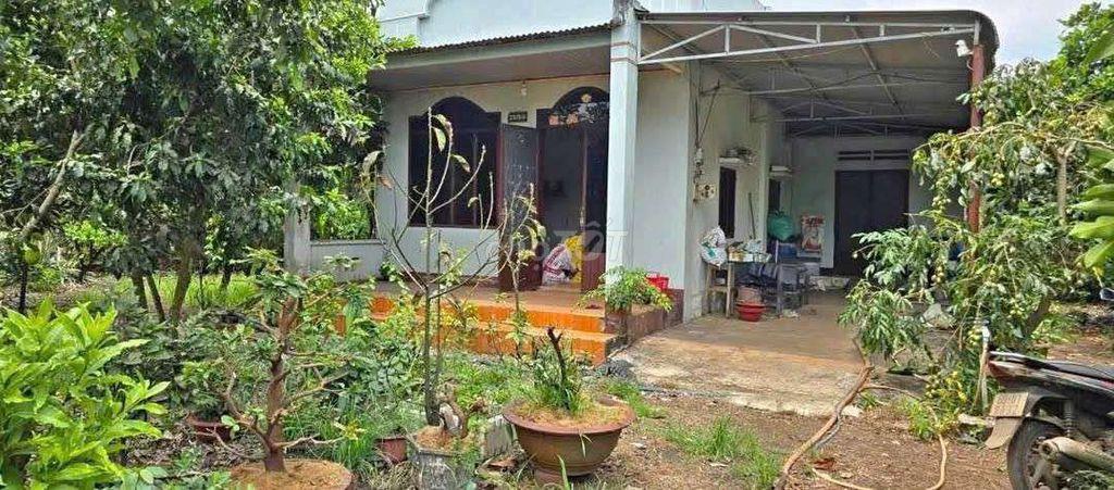 Đất Nhà Vườn diện tích 660m2 cần bán