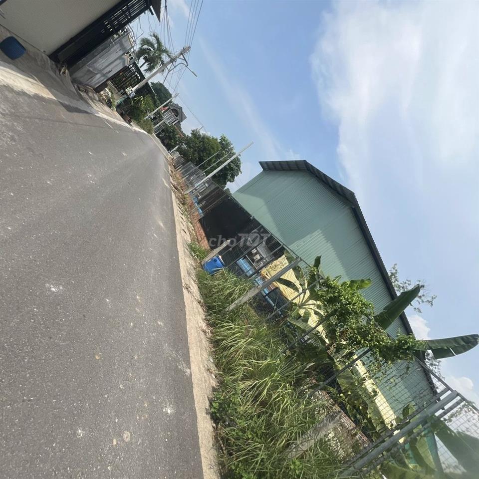 Bán đất Gần chợ Hoàng Gia, Tân Định ( Hoà Lợi- Tphcm)