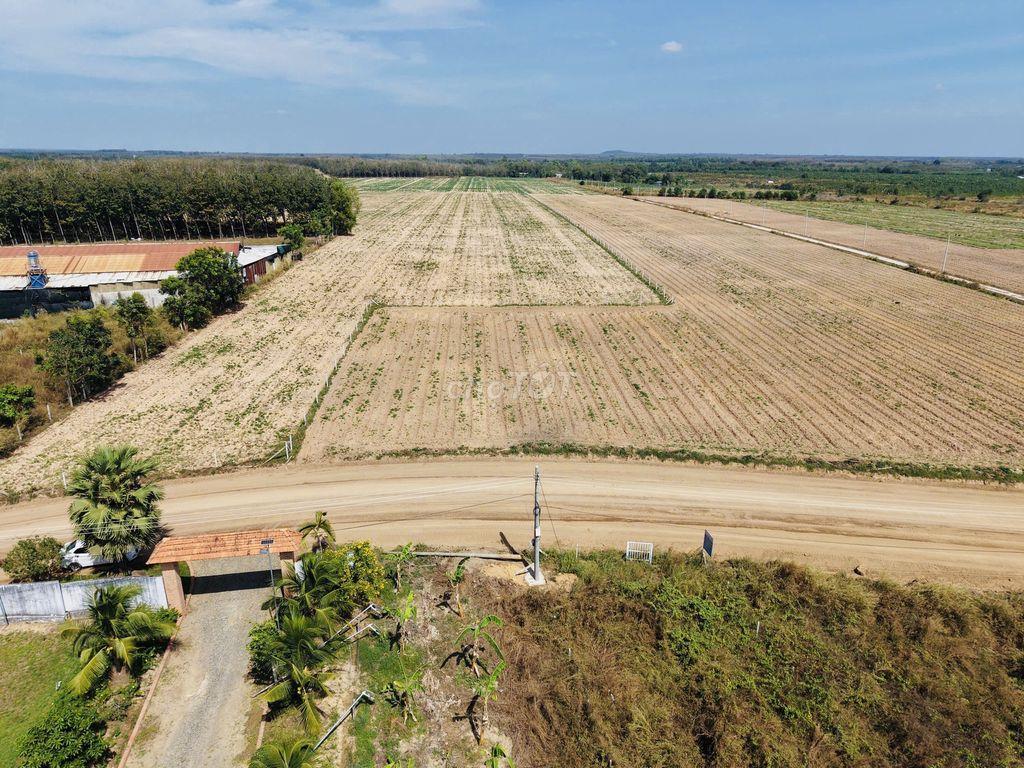 Đất thành phố 10m ngang mặt tiền đường DH715