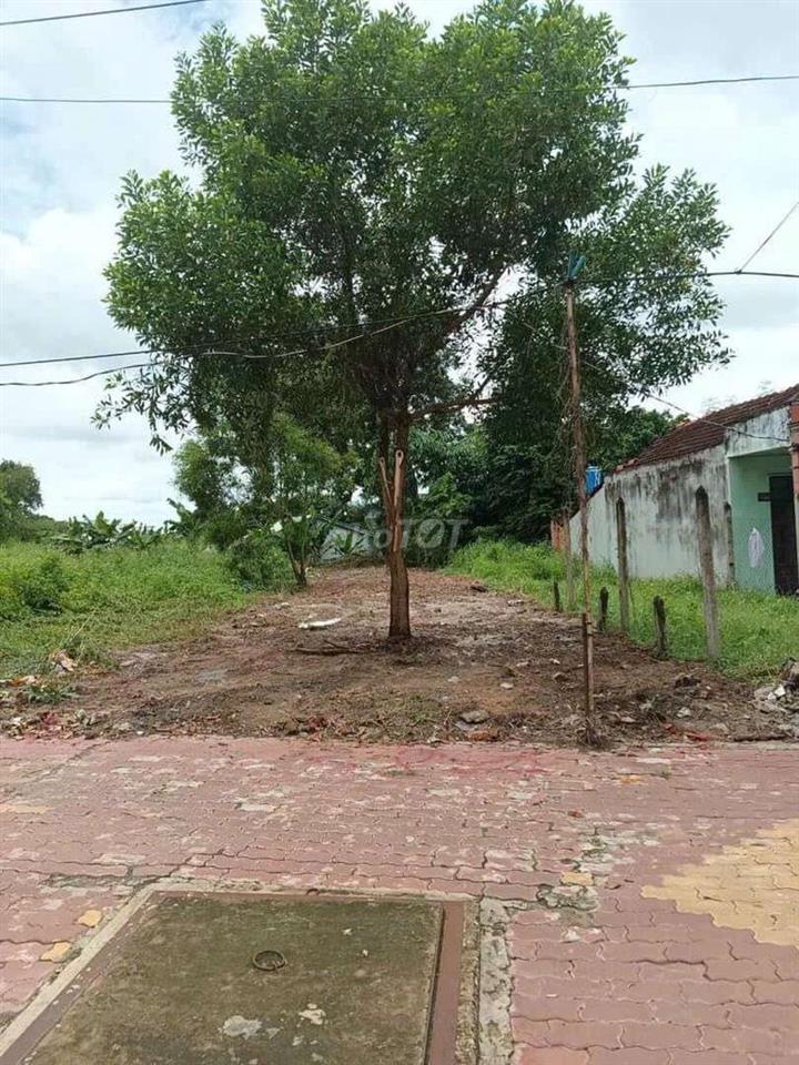 Bán đất mặt tiền