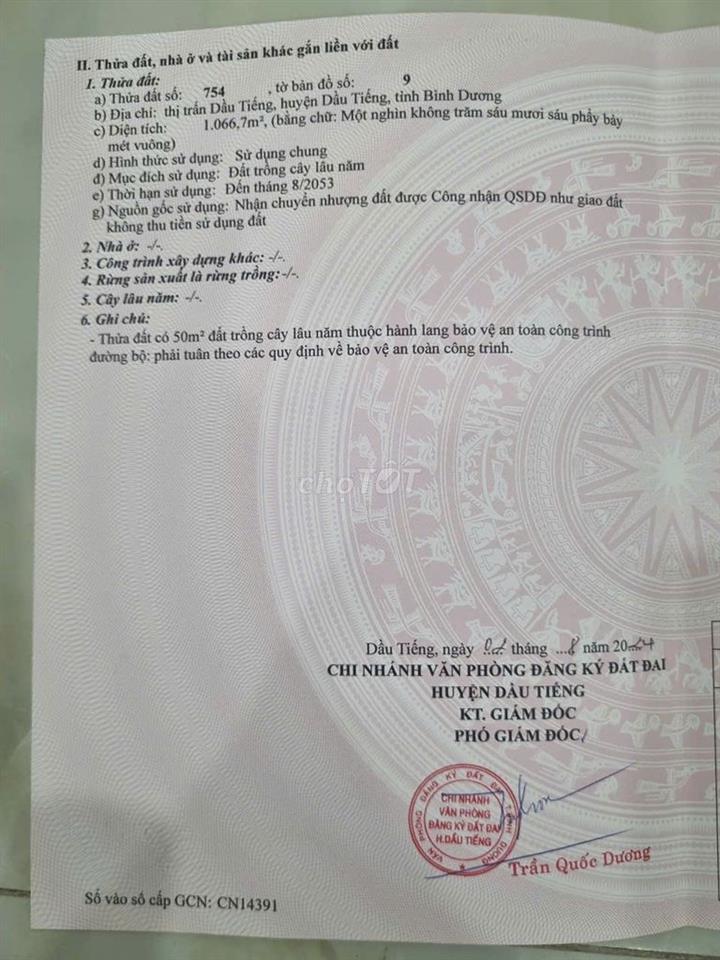 Bán đất ngay tại đường Trần Phú, Trung Tâm Thị Trấn Dầu Tiếng.