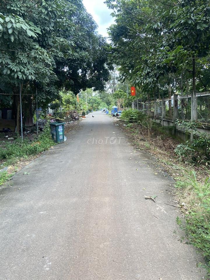 Bán đất mặt tiền đường Tân Thành 60