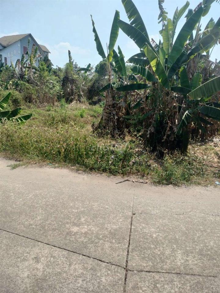 Đất An Bình phú Giáo