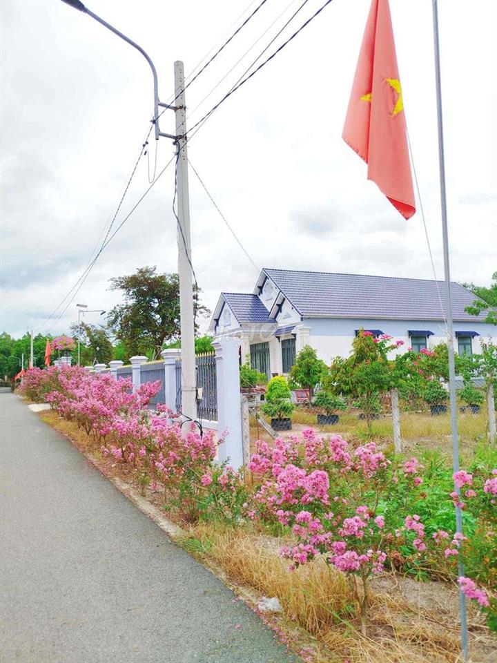 Sang gấp 566,1m2 /665tr đường nhựa dân đông sổ riêng