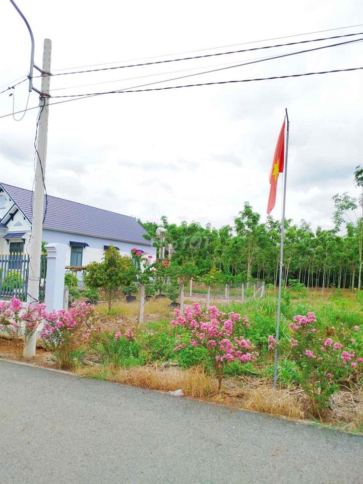 Sang gấp 566,1m2 /665tr đường nhựa dân đông sổ riêng