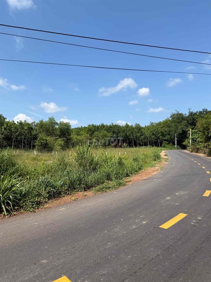 Long nguyên giá ngộp