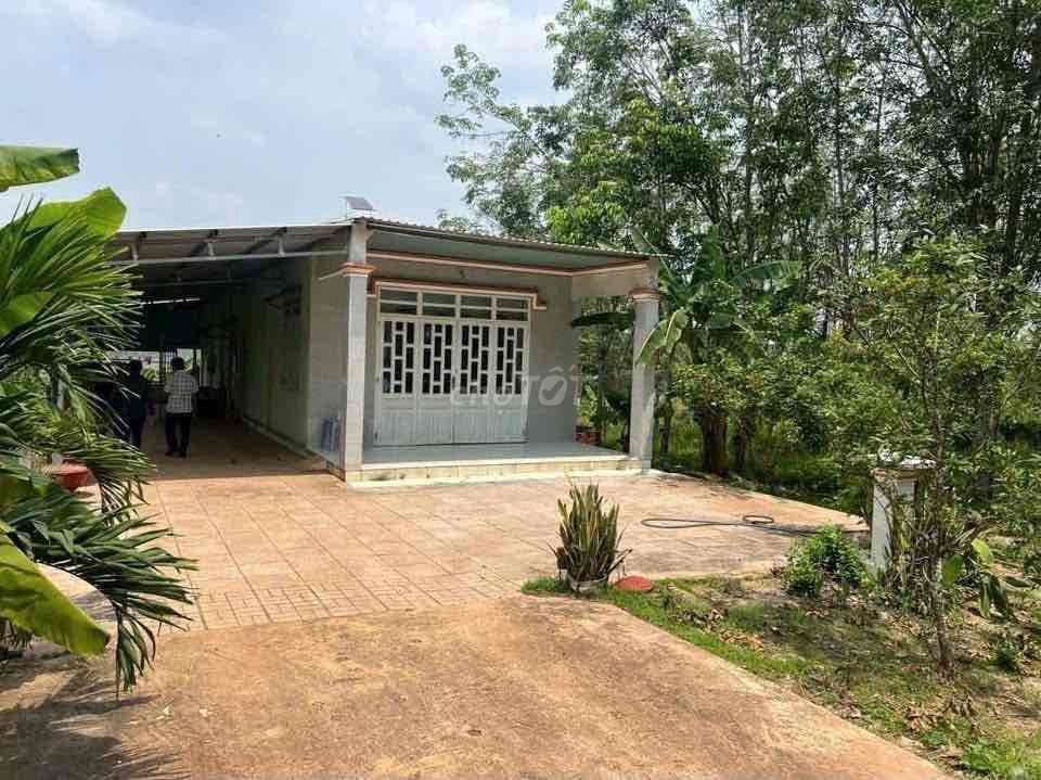 ĐẤT ĐẸP CẦN BÁN GẤP