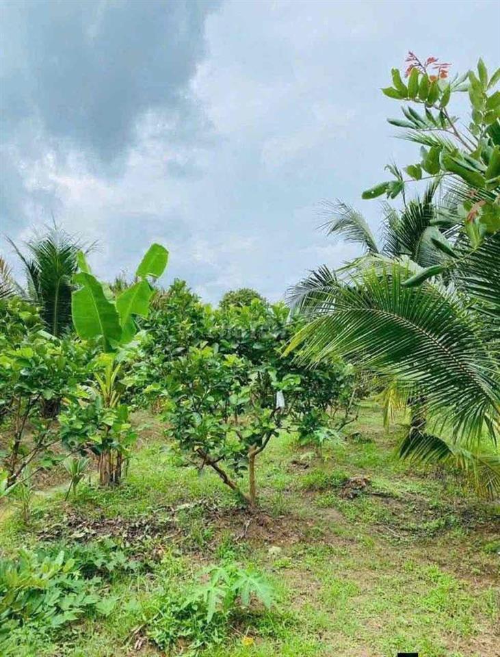 ĐẤT ĐẸP CẦN BÁN GẤP