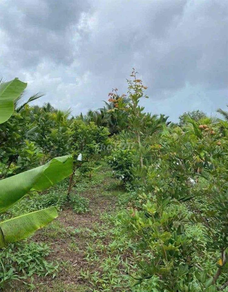 ĐẤT ĐẸP CẦN BÁN GẤP