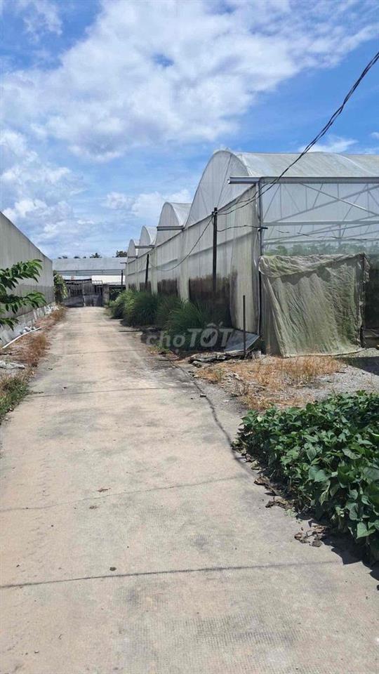 đất an bình phú giáo bình dương