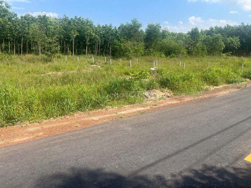 bán đất nền Bình Dương