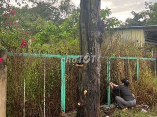 Dự án Đất Bàu Bàng Bình Dương