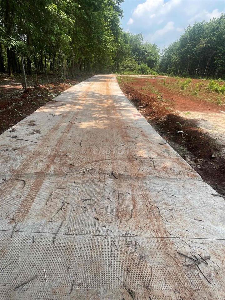 Ngộp bán nhanh 5x58m2 sẵn 50 thổ cư cách Ql13 chỉ 600m