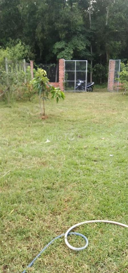 Đất vườn 300mv. Vĩnh Tân.Tân uyên.Bình Dương.giáp visip 2 mở rộng
