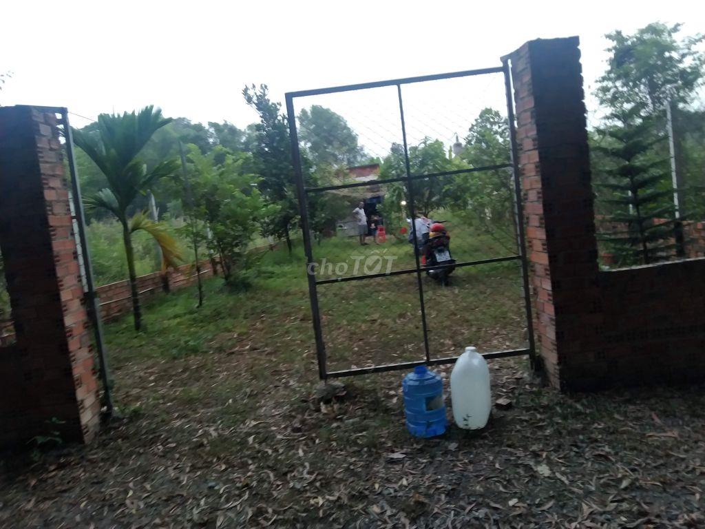 Đất vườn 300mv. Vĩnh Tân.Tân uyên.Bình Dương.giáp visip 2 mở rộng