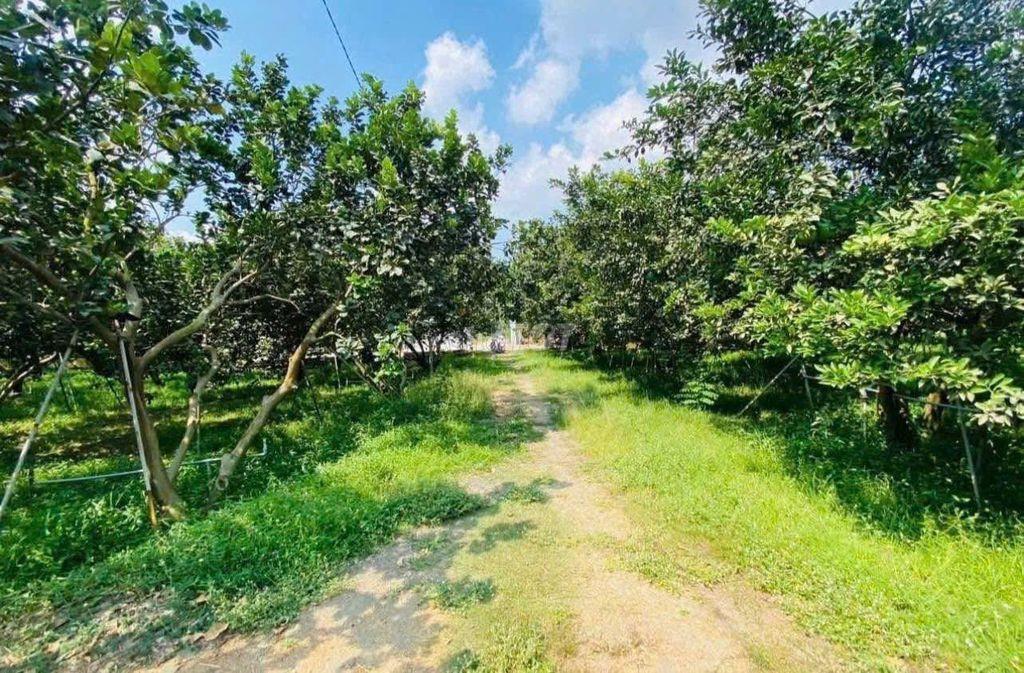 đất vườn có thổ cư can ban gap