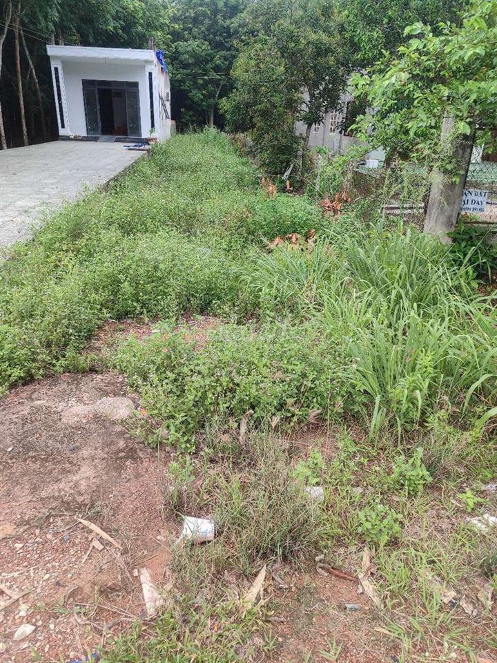 cần bán 