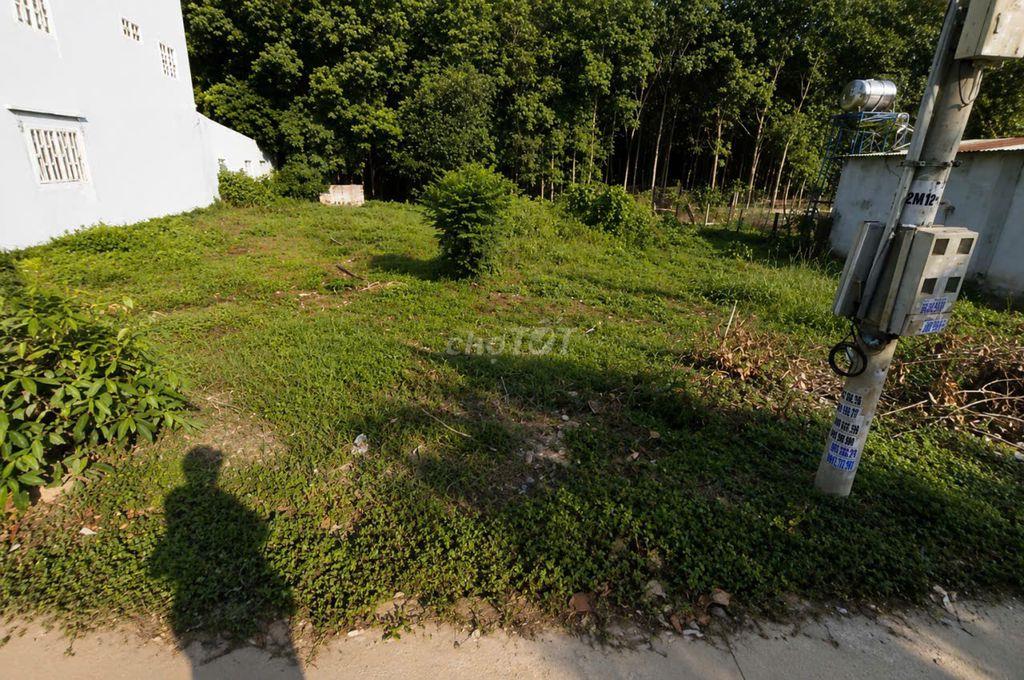 BÁN ĐẤT 5x20, 599tr, BÁN NGỘP, GẦN CHỢ HƯNG HOÀ