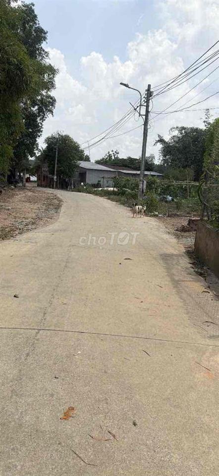 cần bán gấp